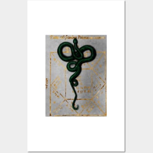 Gothic Watercolor Emerald Green Snake on Ancient Astrology Gold Foil Dark Academia Book Posters and Art